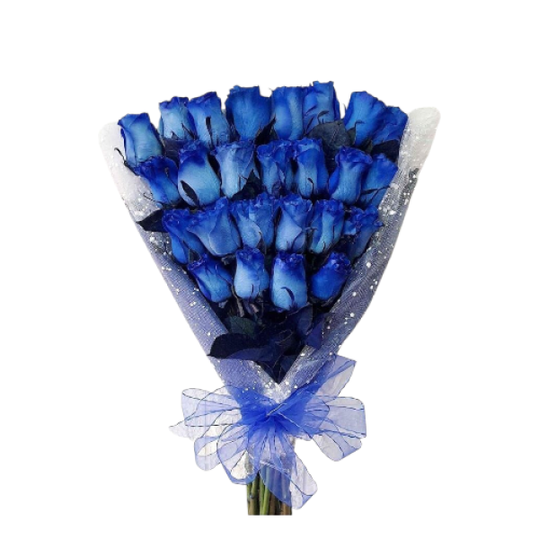 Photoroom-20251002_080419_27