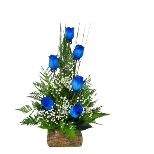 Photoroom-20251002_080419_29