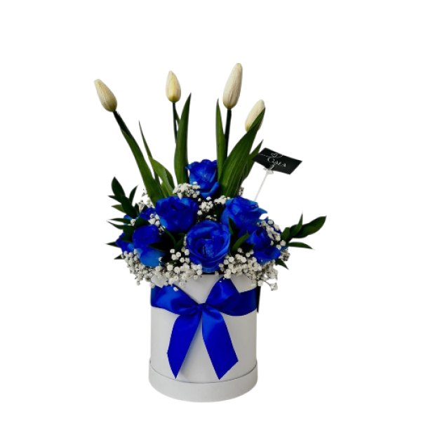 Photoroom-20251002_080419_31