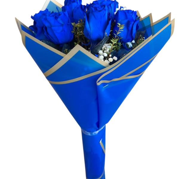 Photoroom-20251002_120212_2