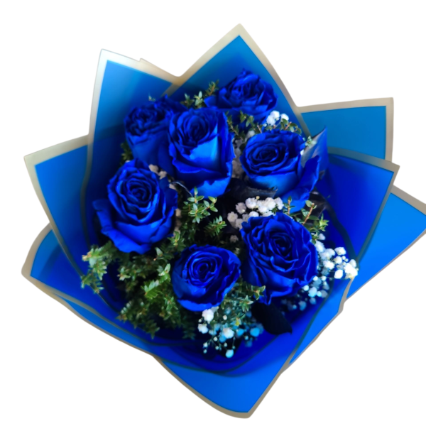 Photoroom-20251002_120212_6