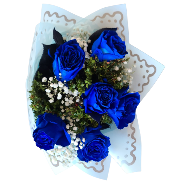 Photoroom-20251002_120212_7