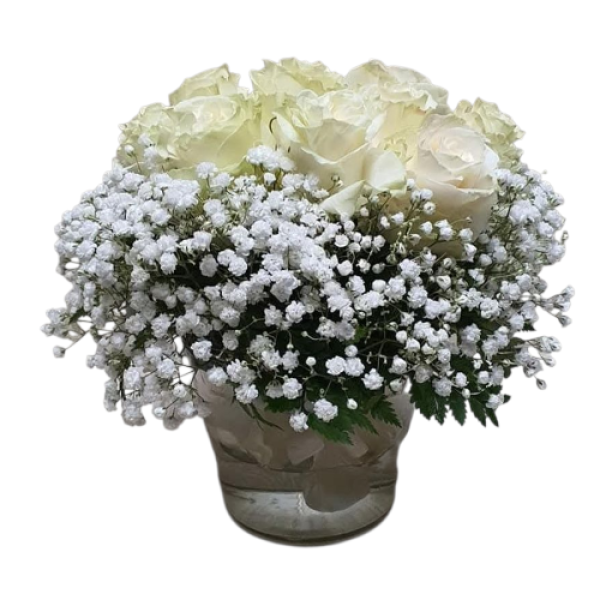 Photoroom-20251019_003805_6