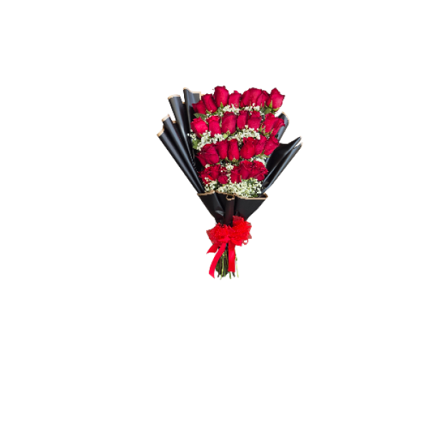 Photoroom-20251019_004711_4