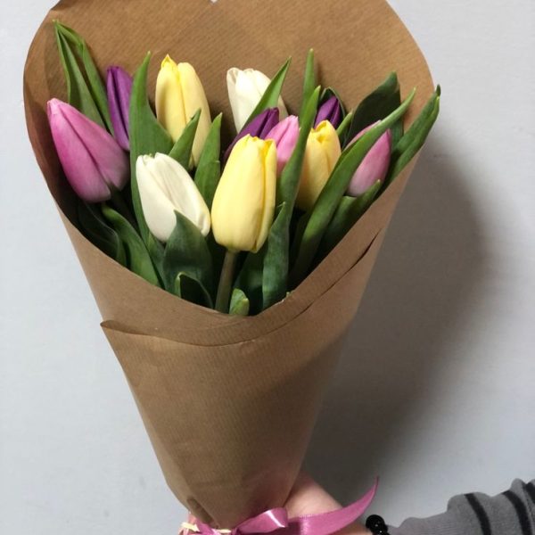 11 HERMOSOS TULIPANES